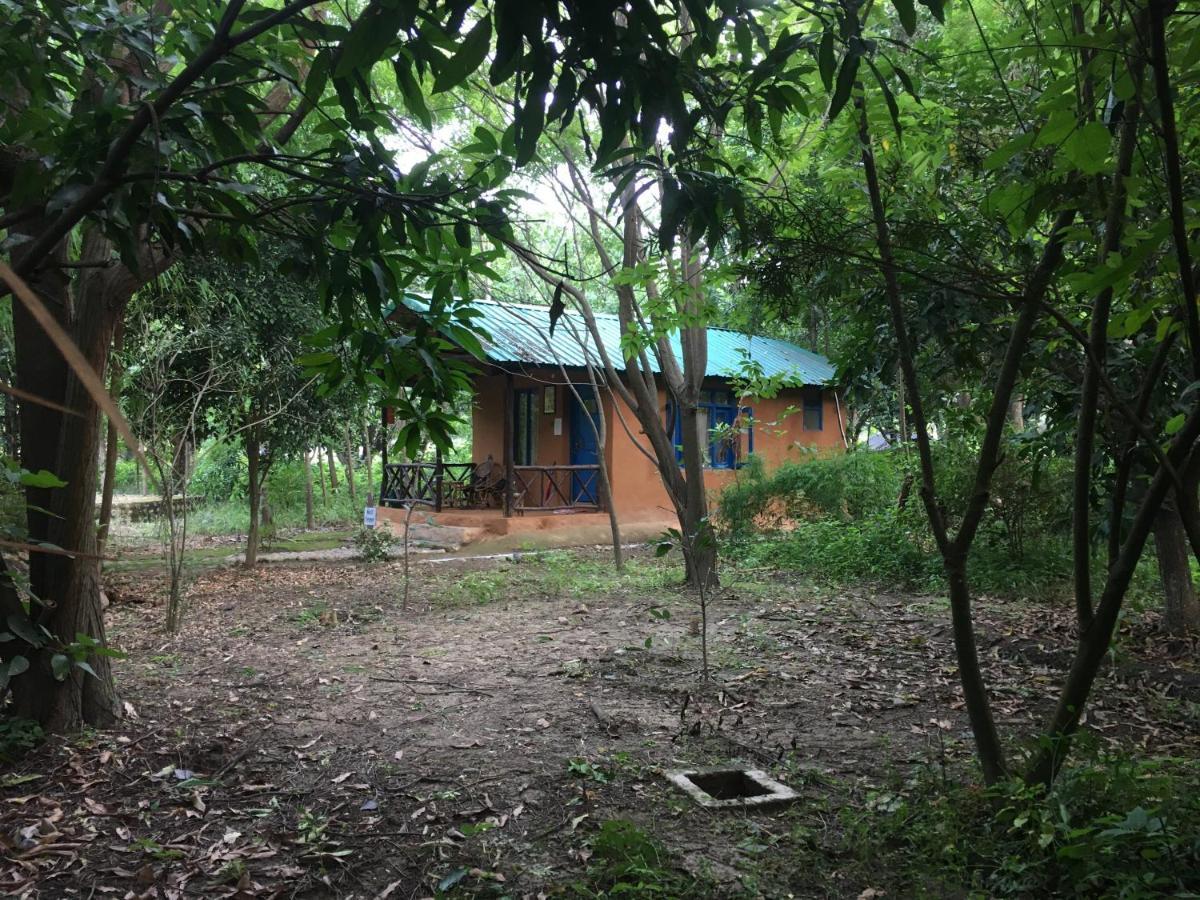 Camp Hornbill Corbett Hotel รามนาการ์ ภายนอก รูปภาพ