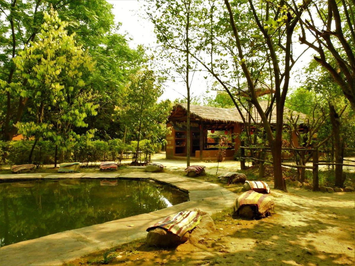 Camp Hornbill Corbett Hotel รามนาการ์ ภายนอก รูปภาพ