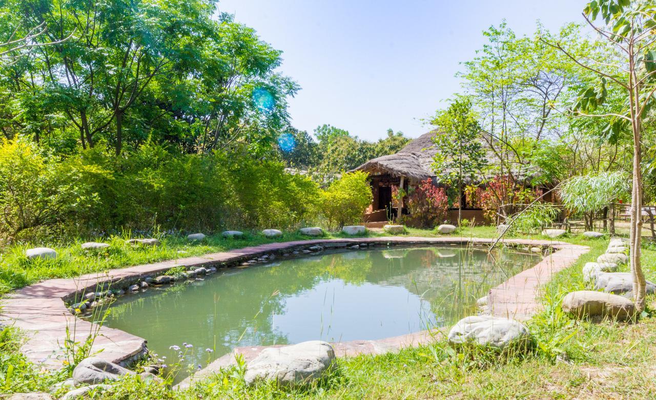 Camp Hornbill Corbett Hotel รามนาการ์ ภายนอก รูปภาพ